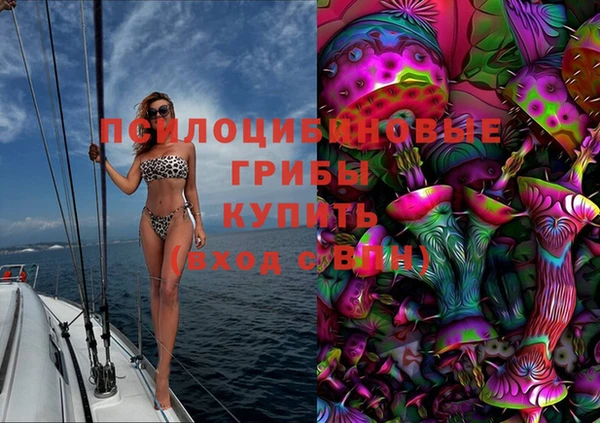 скорость Липки