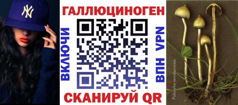 Галлюциногенные грибы мухоморы  Купить где  Бокситогорск 