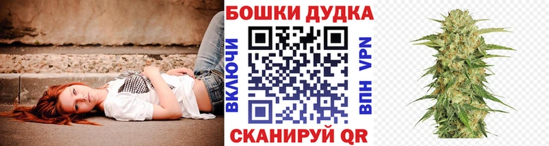 Купить  Бокситогорск  Канабис OG Kush 